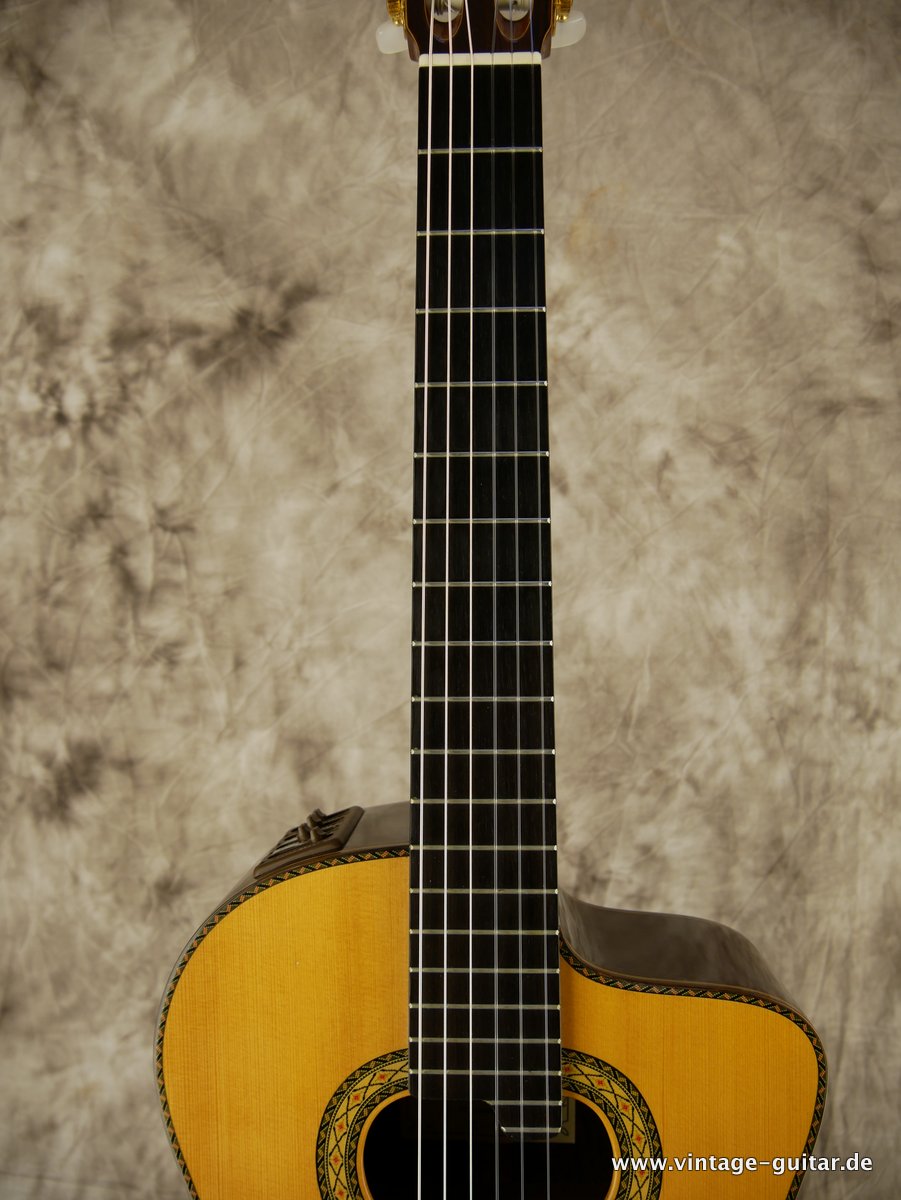 Takamine_Hirade_E90-011.JPG