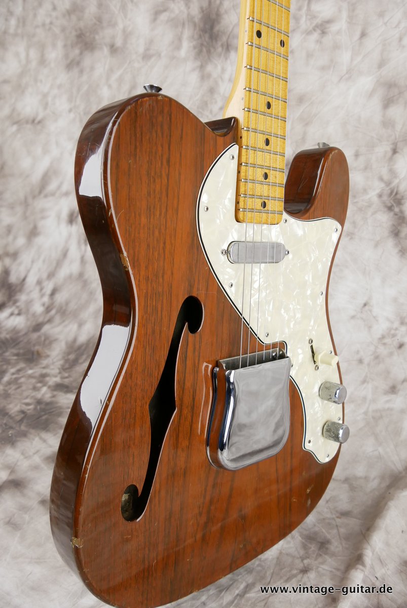 Ibanez-Model-2368-Copy-Of-Telecaster-Thinline-005.JPG