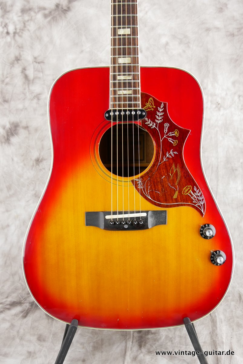 Ibanez-Model-684E-1975-Hummingbird-J160E-002.JPG