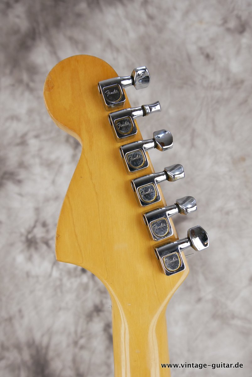 Fender-Stratocaster-25th-Anniversary-1979-silver-010.JPG