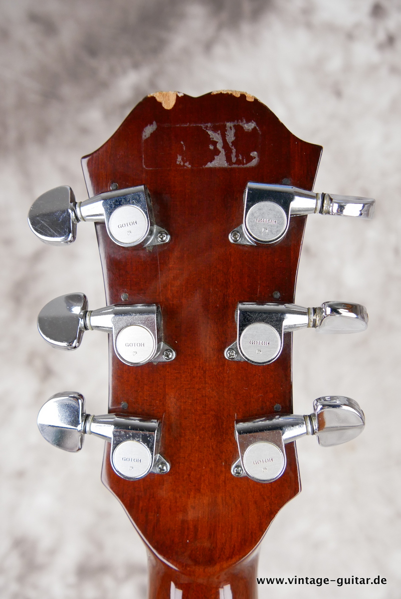 Epiphone_FR_25_natural_1973-010.JPG