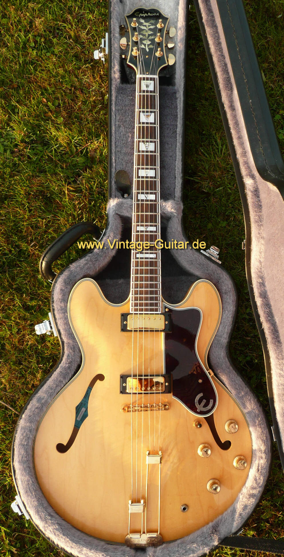 Epiphone-Sheraton-Elite-1964-2005.jpg