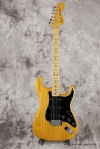 master picture Stratocaster