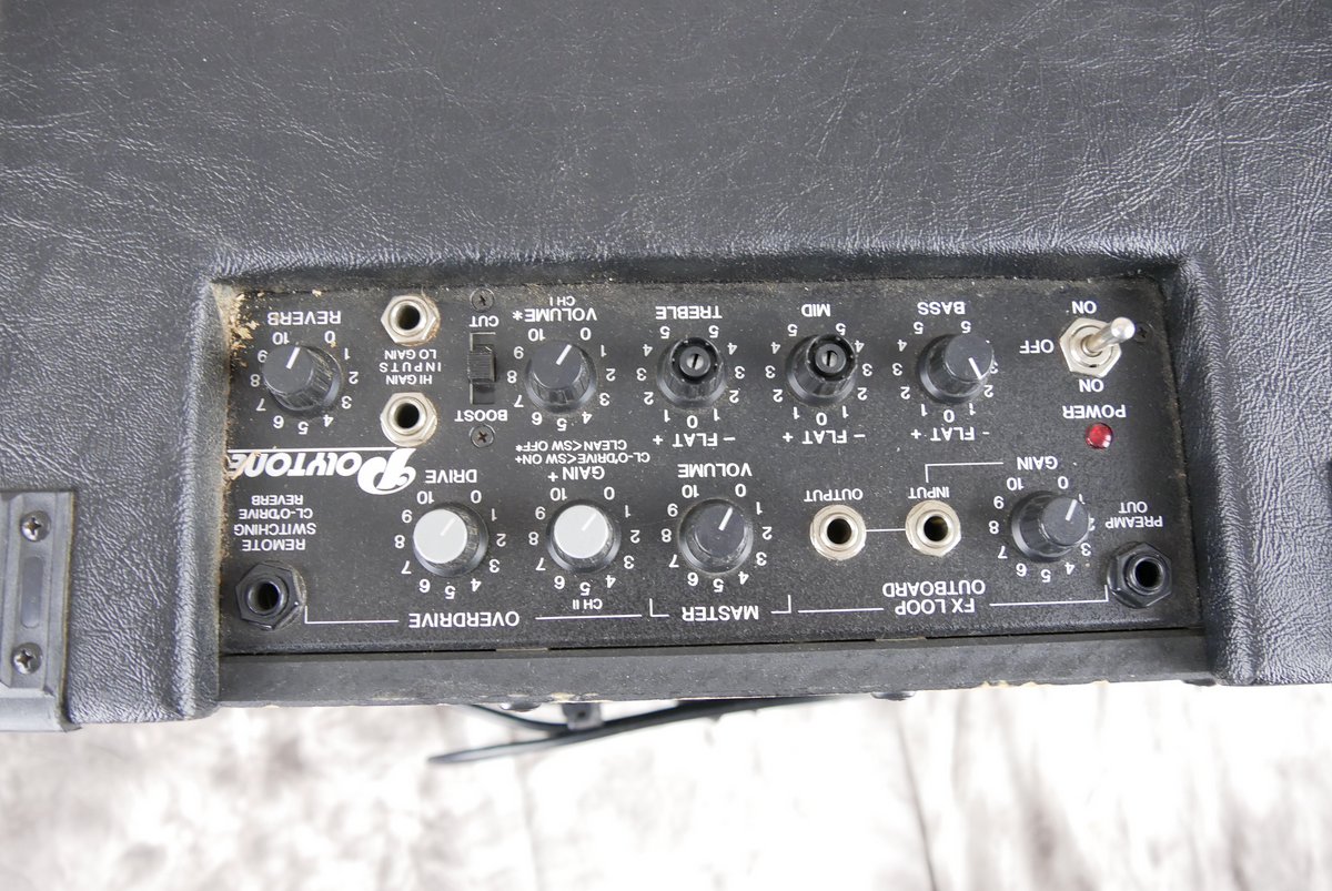 Polytone-Mini-Brute-II-006.JPG