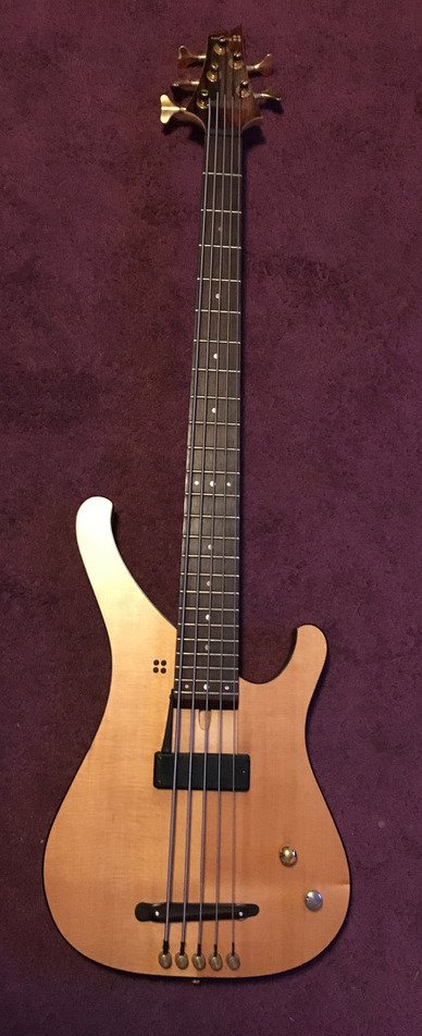 Sandberg-Thinline-5-string-Bass-001.jpg