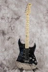 master picture Aloha Stratocaster