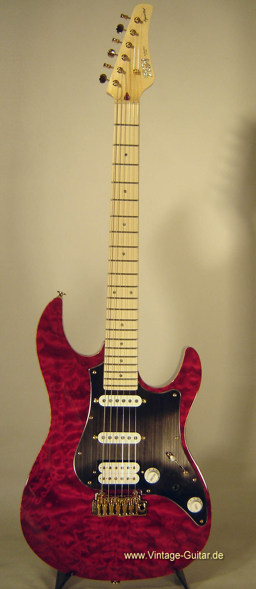 FGN-Guitars-1-a.jpg