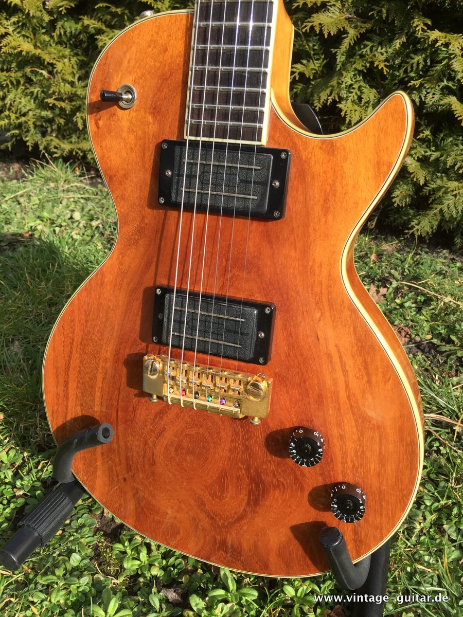 Anno-Galama-Netherlands-Les-Paul-Style-003.JPG