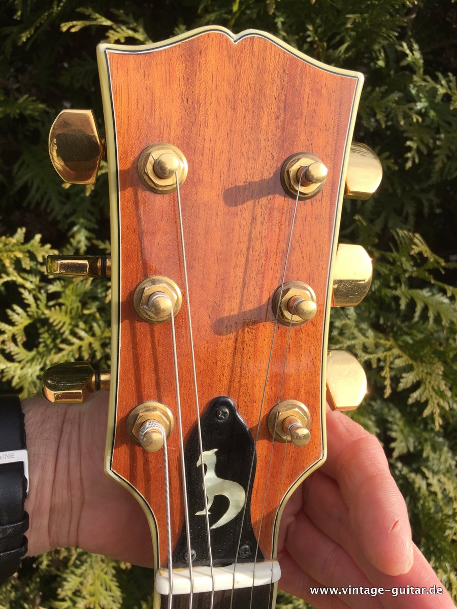 Anno-Galama-Netherlands-Les-Paul-Style-010.JPG