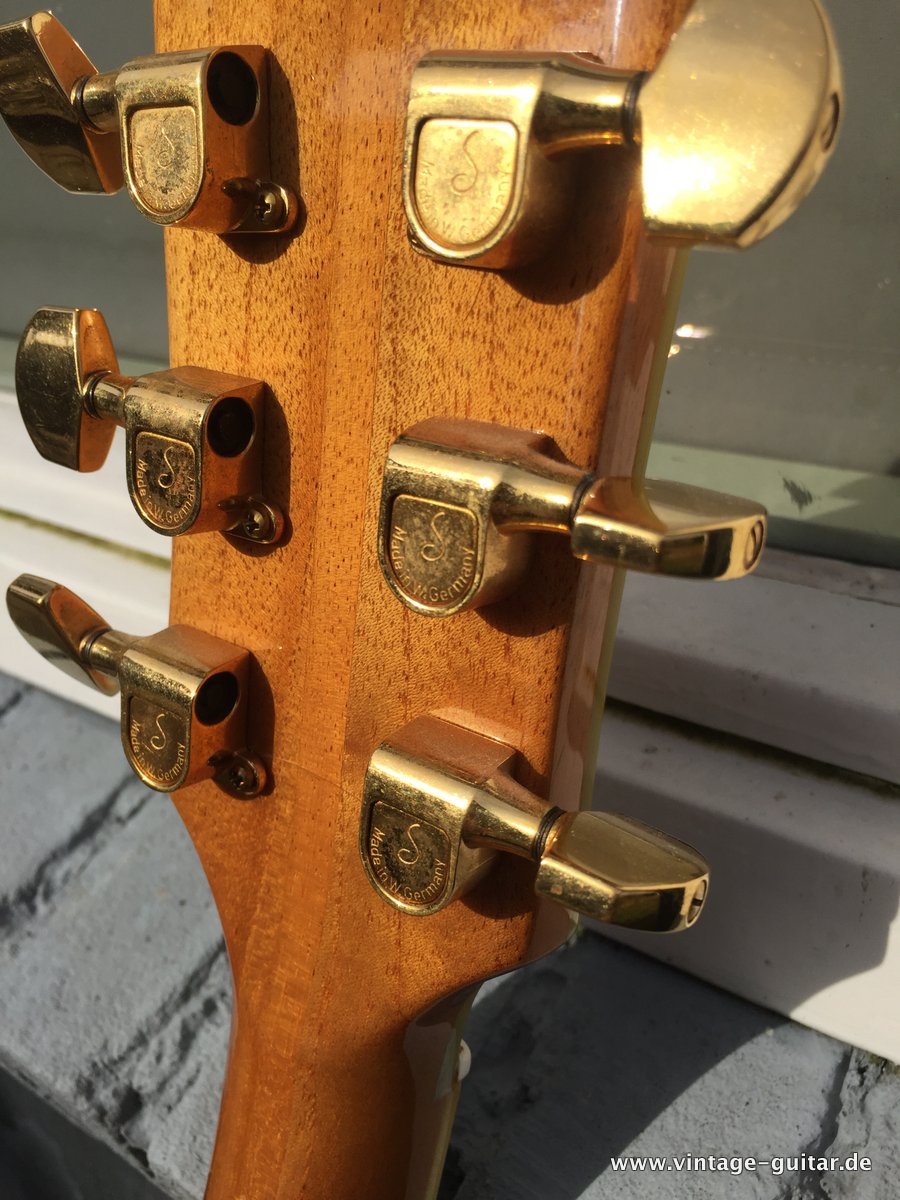 Anno-Galama-Netherlands-Les-Paul-Style-011.JPG