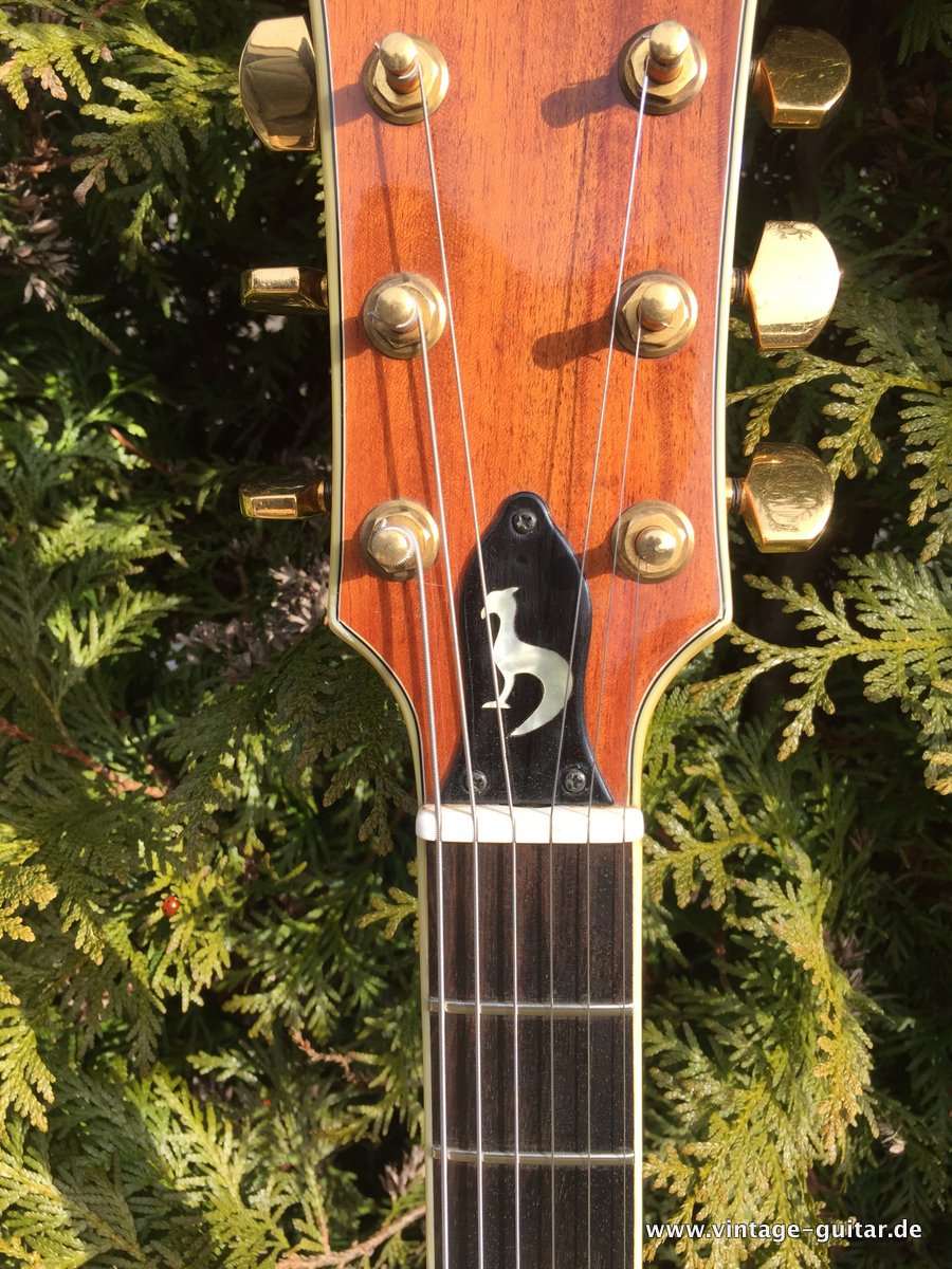 Anno-Galama-Netherlands-Les-Paul-Style-012.JPG