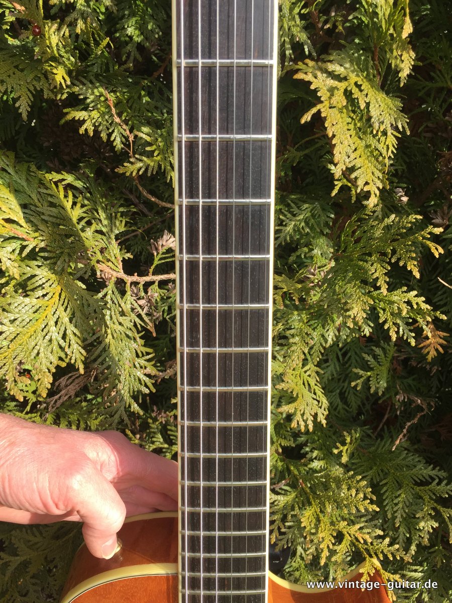 Anno-Galama-Netherlands-Les-Paul-Style-013.JPG