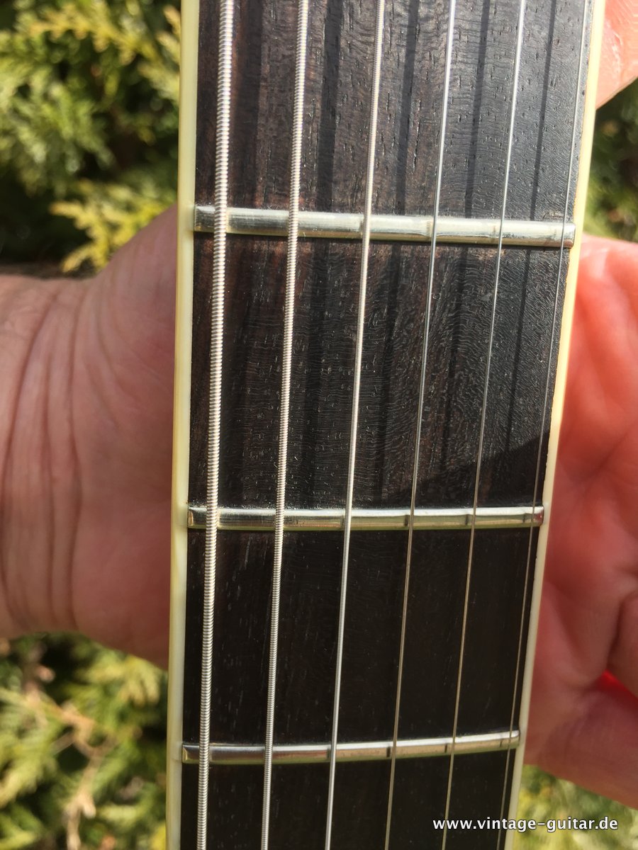 Anno-Galama-Netherlands-Les-Paul-Style-014.JPG