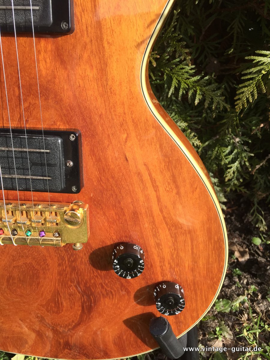 Anno-Galama-Netherlands-Les-Paul-Style-017.JPG