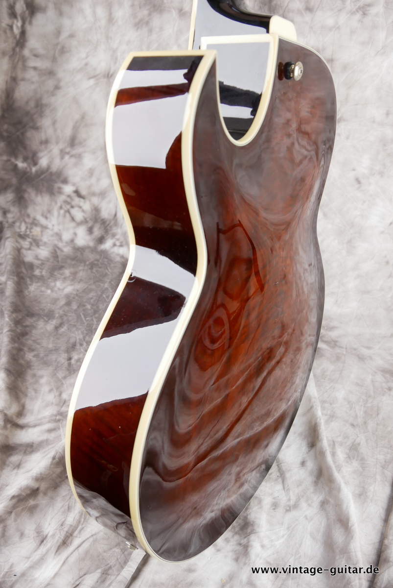 Ibanez_Artcore_AK_95_DVS_brown_2010-007.JPG