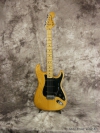 master picture Stratocaster