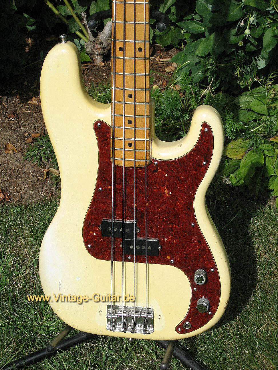 Fender-Precision-Bass-1975-white-d.jpg
