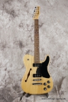 master picture Telecaster Thinline