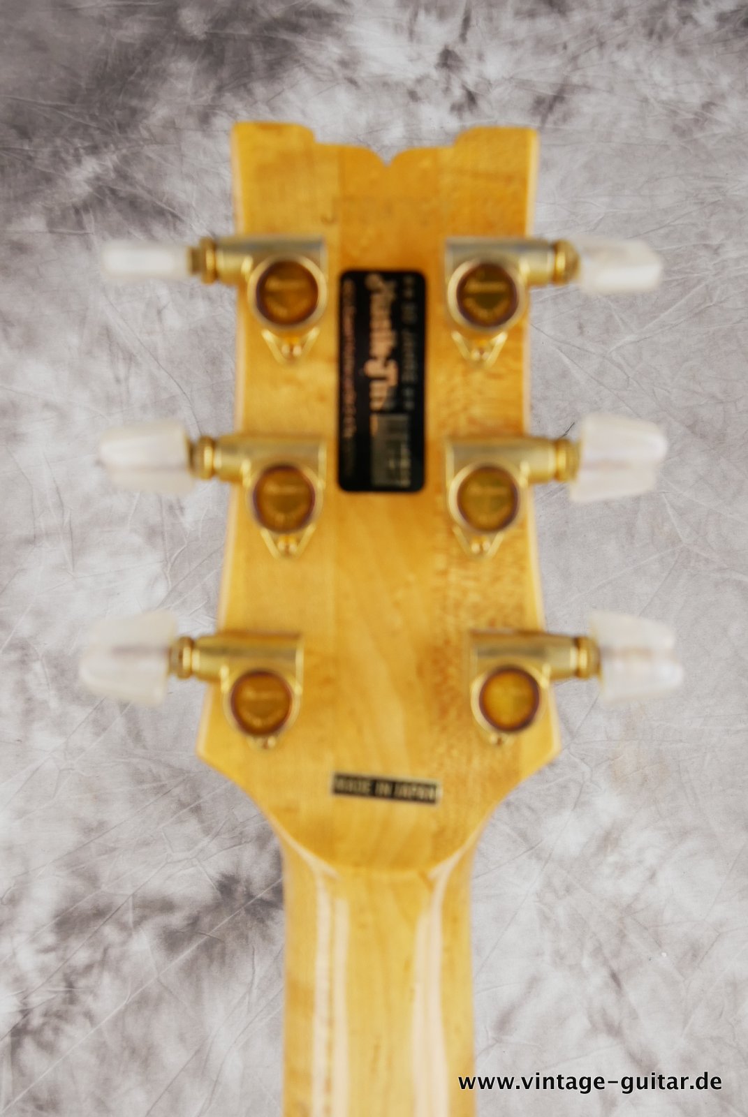 Ibanez-AR-250-NT-1979-natural-010.JPG