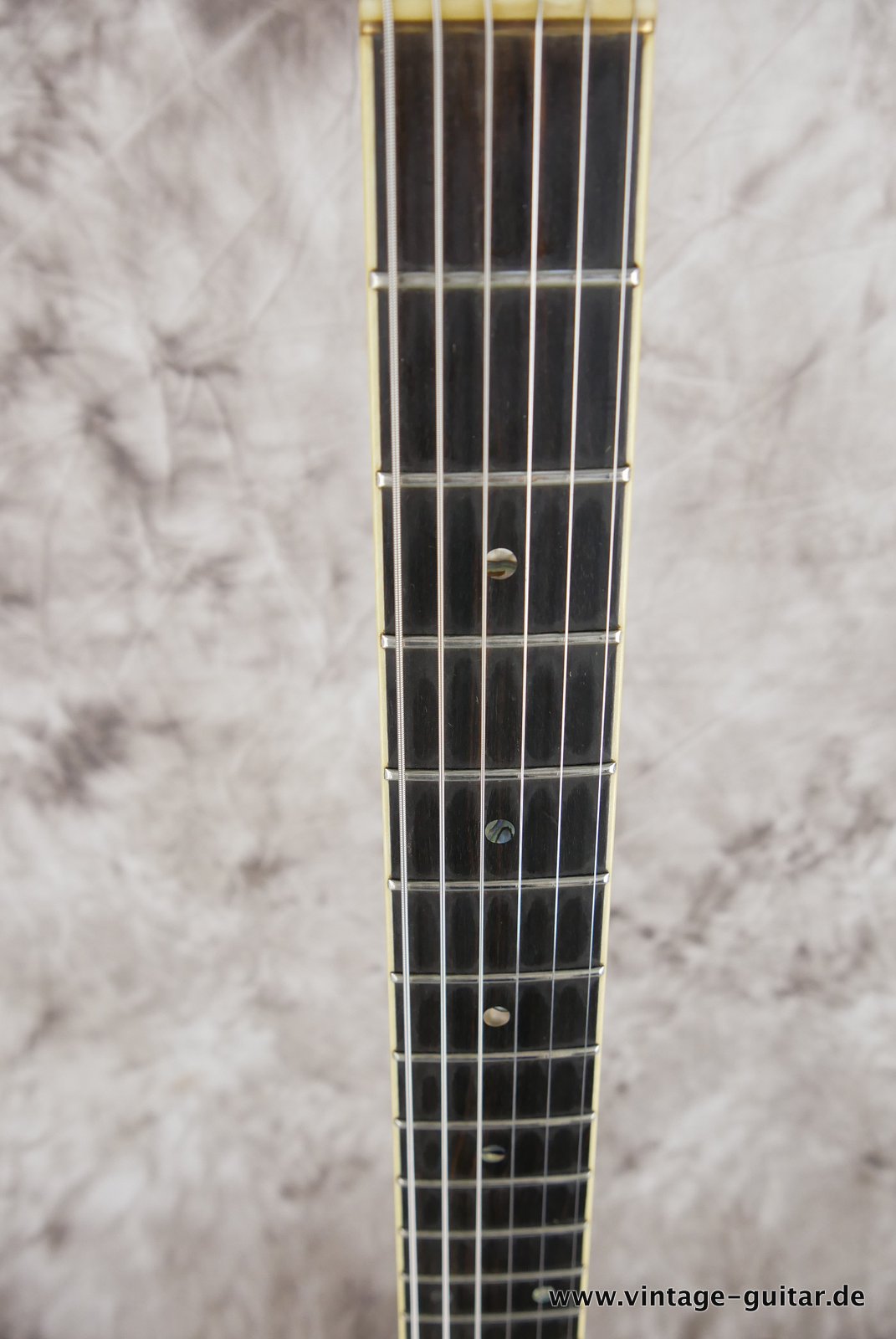 Ibanez-AR-250-NT-1979-natural-011.JPG