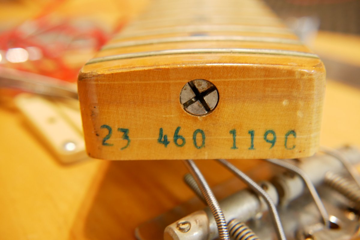 Fender-Telecaster-Bass-1969-019.JPG