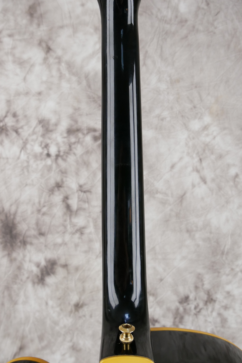 img/vintage/4955/Gibson_L_5_CES_custom_black_1979-012.JPG