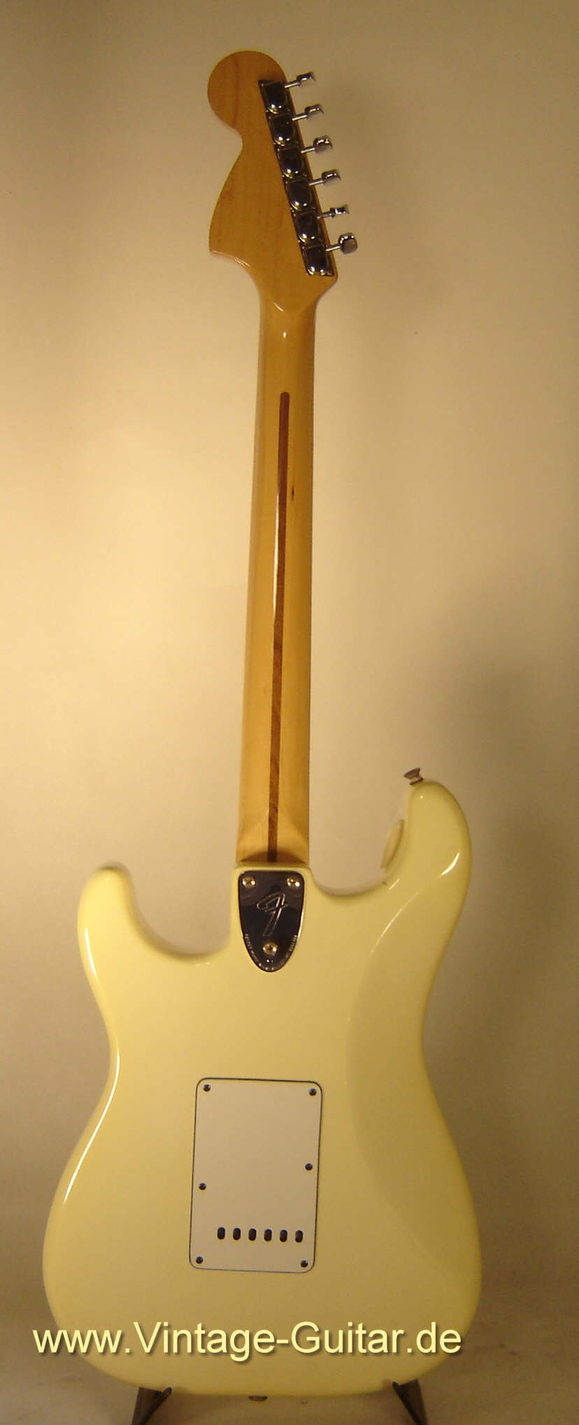 Fender_Stratocaster_1981_white-back.jpg
