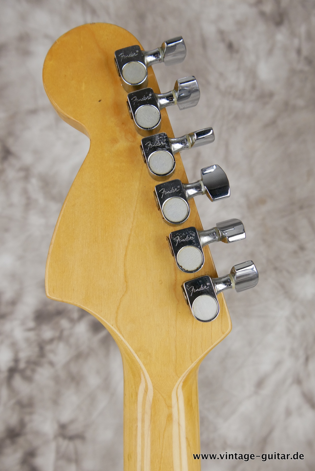 Fender-Stratocaster-25th-Anniversary-Inca-Silver-1979-010.JPG
