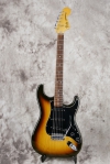 master picture Stratocaster