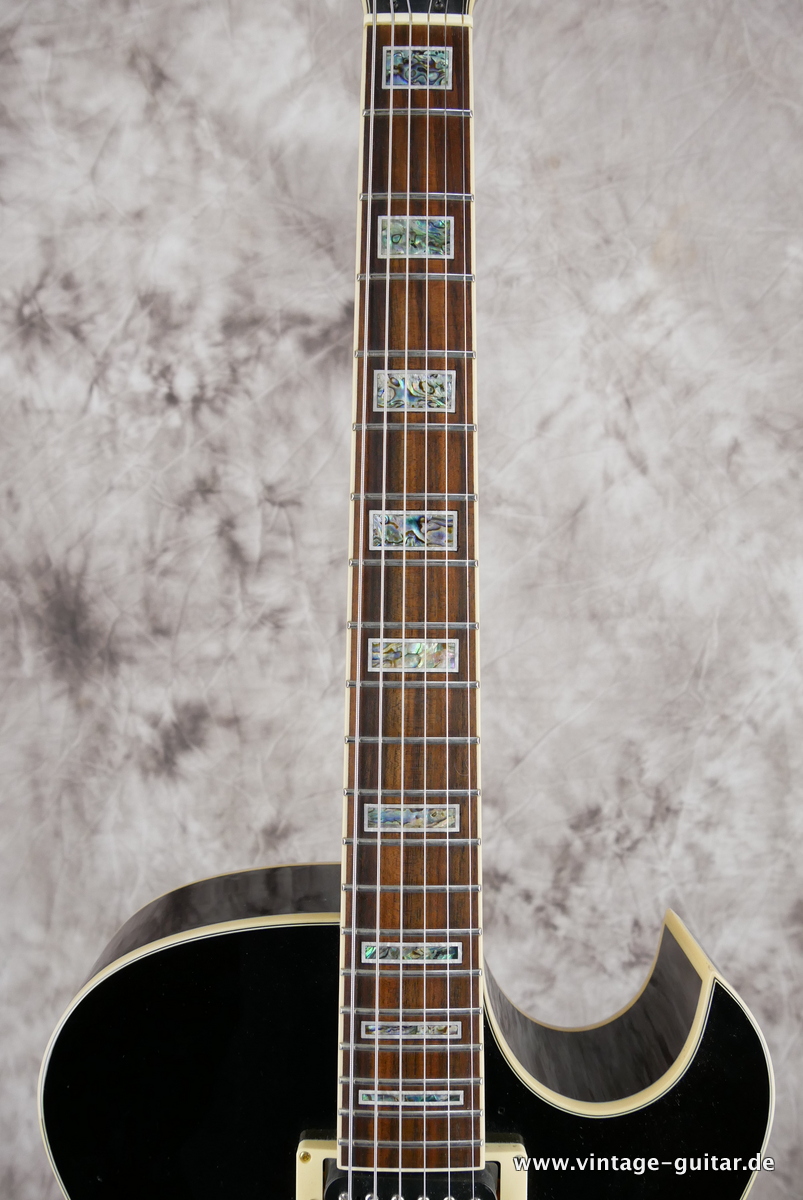 Ibanez_Artcore_AK_95_DVS_brown_2010-011.JPG