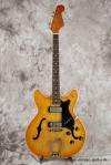 Musterbild Hagstrom_Viking_light_burst_1967-001.JPG