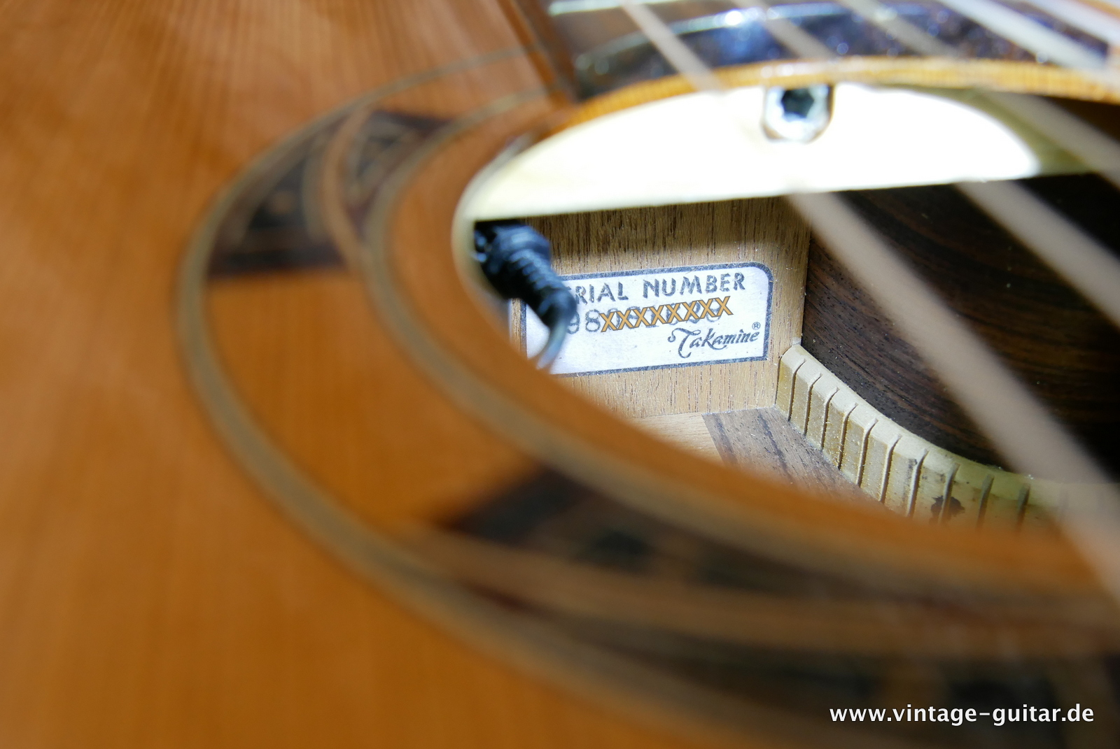 Takamine_Santa_Fee_acoustic_guitar_pickup_flightcase-014.JPG