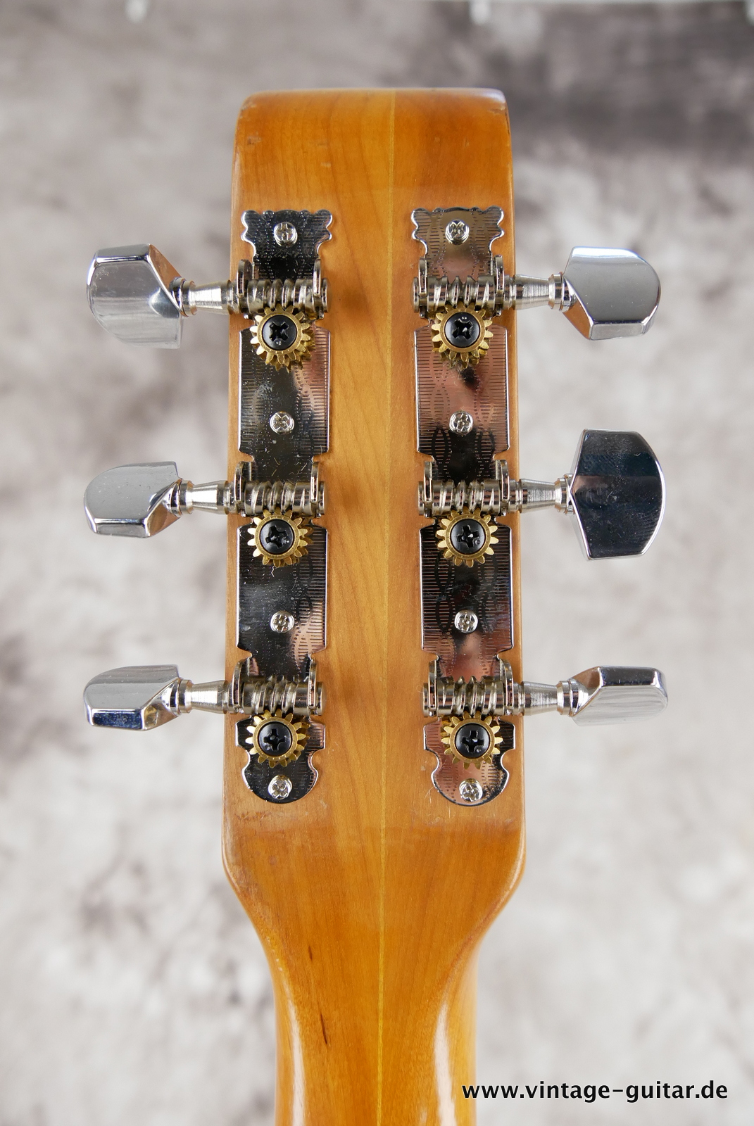 Aria_Mod_1402T_violine_guitar_60s_japan_vintage_fhole-010.JPG