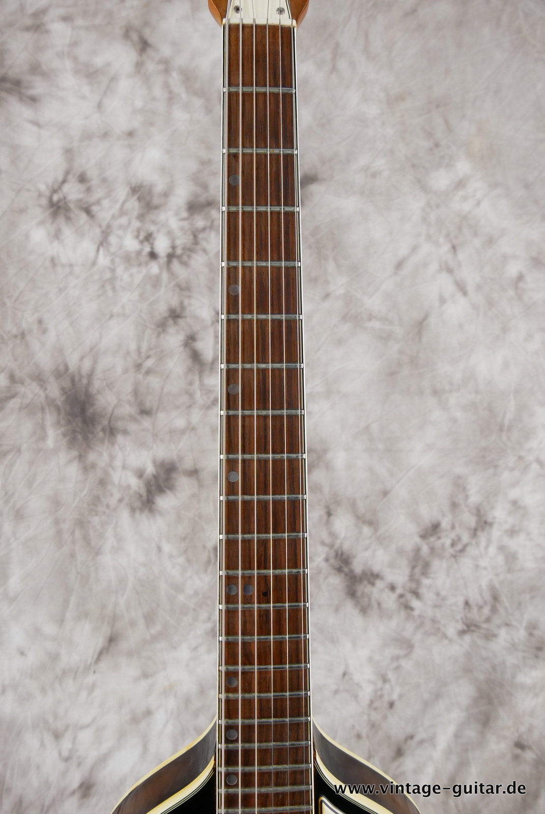 img/vintage/5194/Aria_Mod_1402T_violine_guitar_60s_japan_vintage_fhole-011.JPG