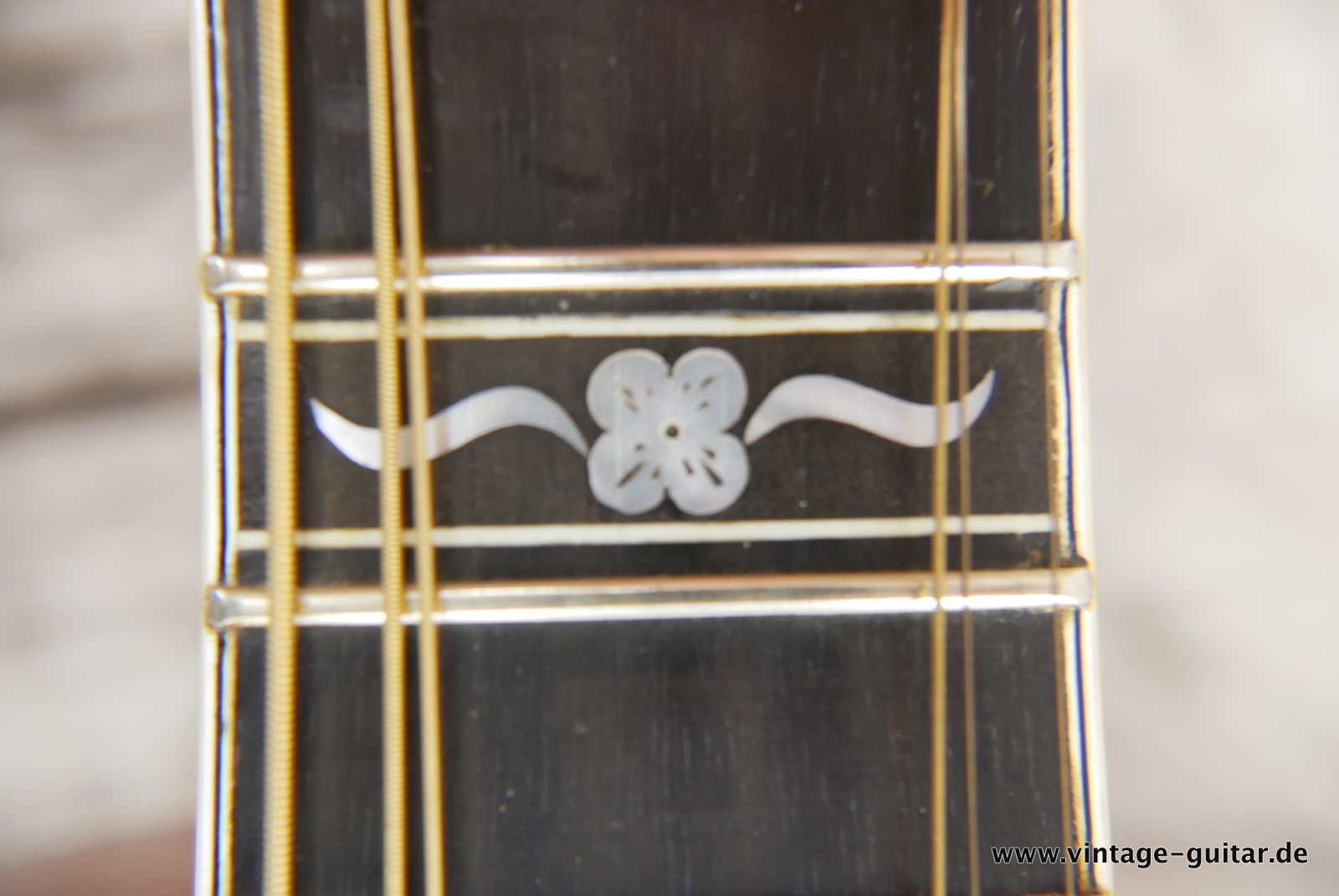 img/vintage/5202/Hofner_hoefner_committee_1960_1964_60s_rare_bird_version_germany_madeingermany_sunburst-014.JPG