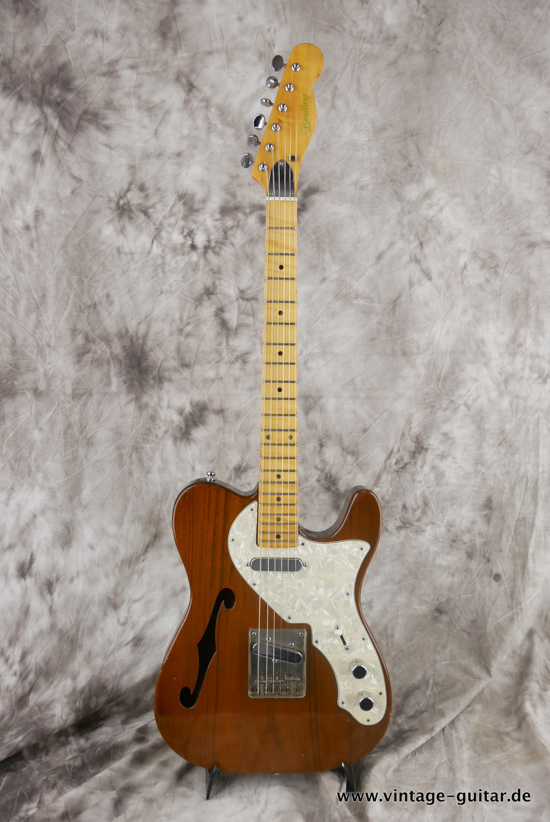 Bradley-Telecaster-Fujigen-made-japan-1957c-brown-001.JPG