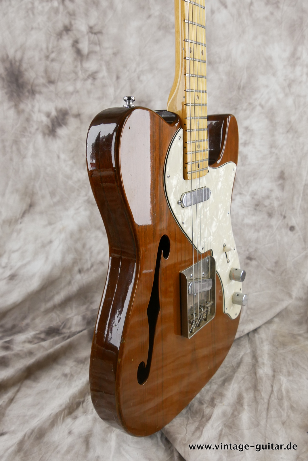 Bradley-Telecaster-Fujigen-made-japan-1957c-brown-009.JPG