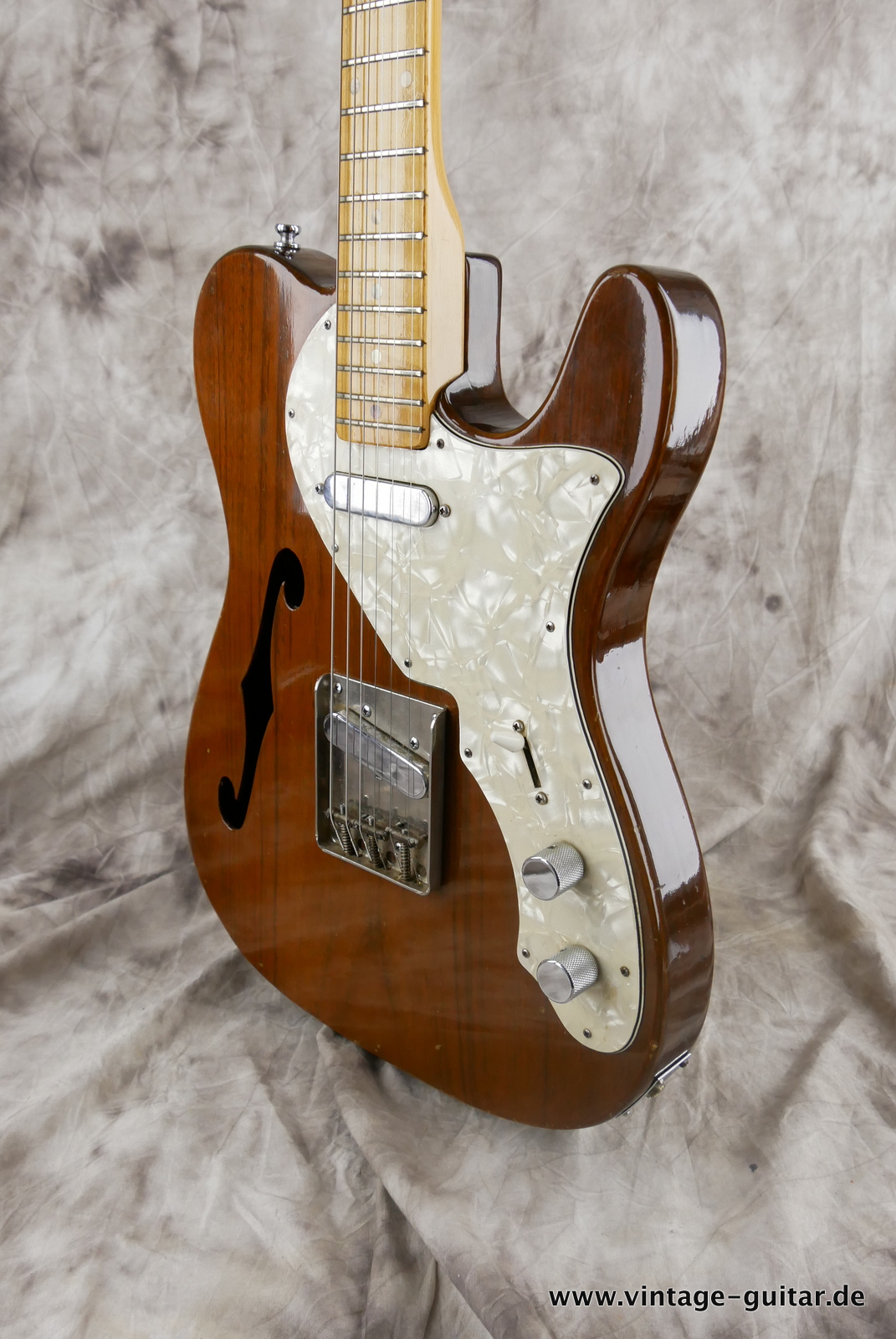 Bradley-Telecaster-Fujigen-made-japan-1957c-brown-010.JPG