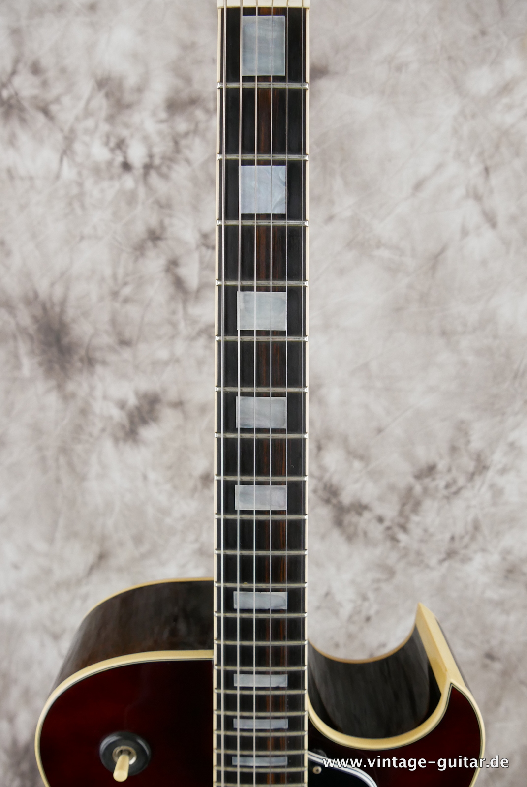 Ibanez-FA100-1980-brown-sunburst-007.JPG