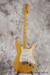 master picture Stratocaster