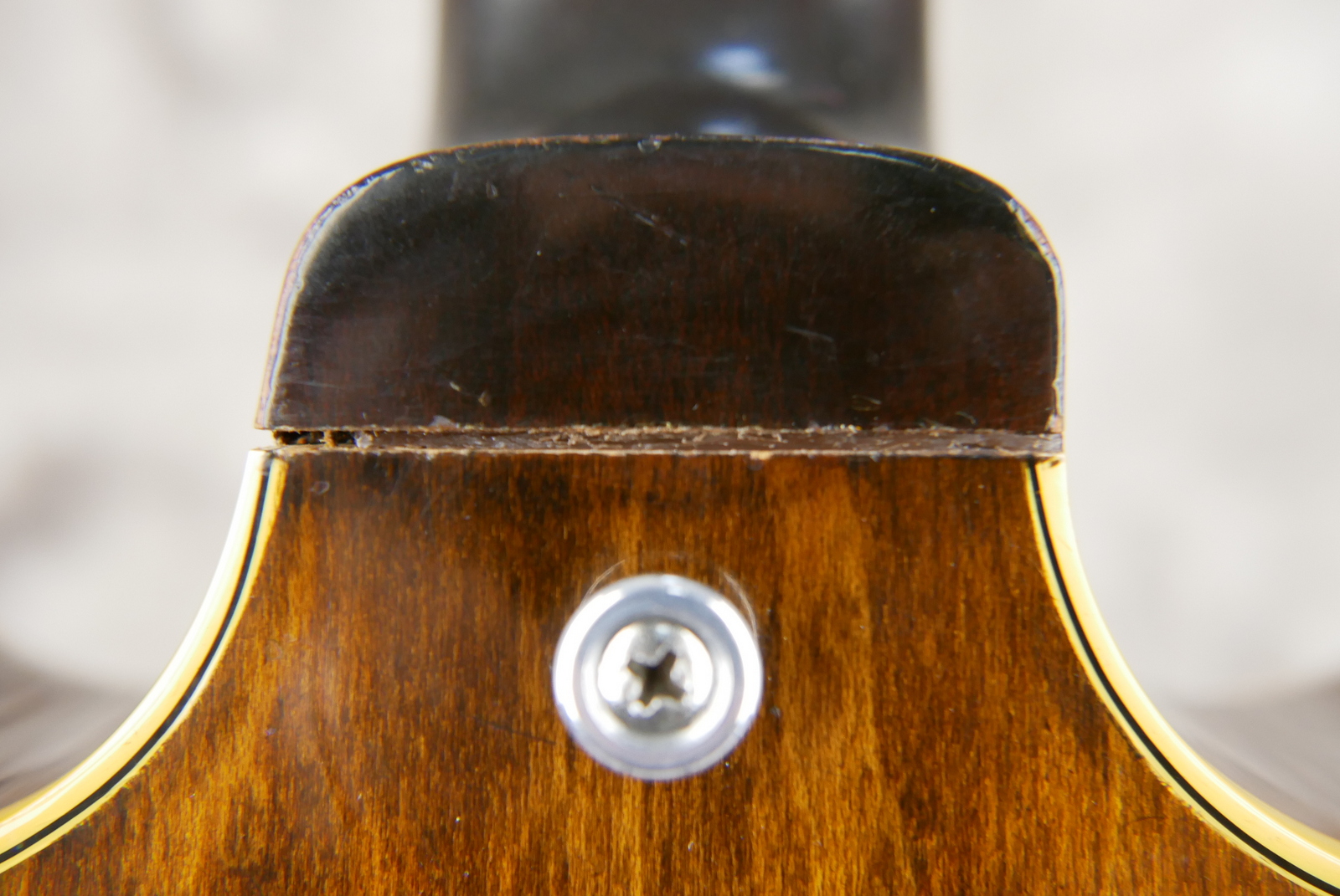img/vintage/5371/Gibson_ES_150_D_1970_walnut_2,98kg_USA-015.JPG