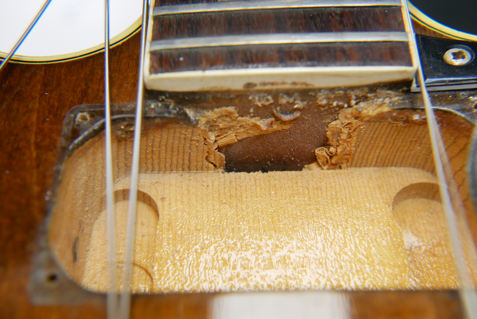 img/vintage/5371/Gibson_ES_150_D_1970_walnut_2,98kg_USA-017.JPG