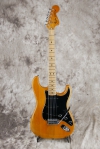 master picture Stratocaster