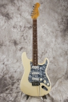 master picture Stratocaster