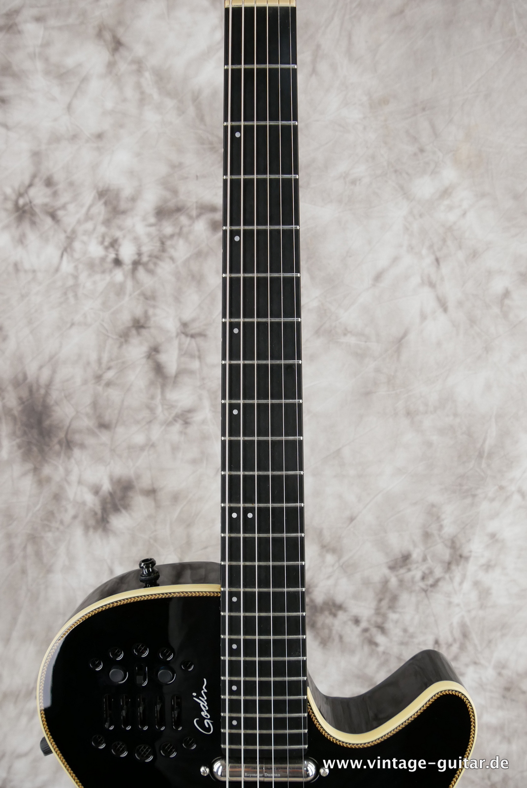 Godin spectrum discount