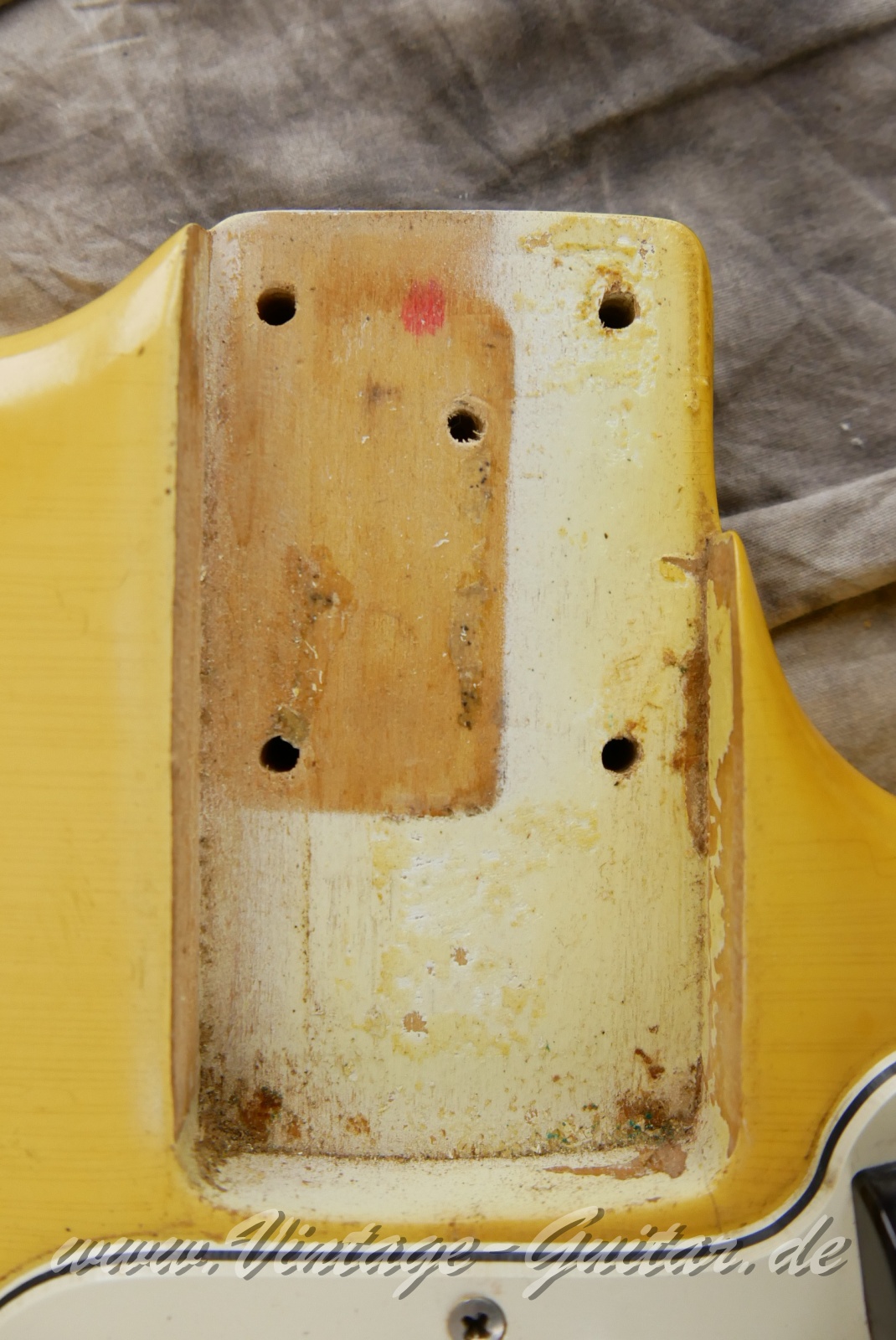 img/vintage/5586/Fender_Musicmaster_Bass_olympic_white_1972-013.JPG