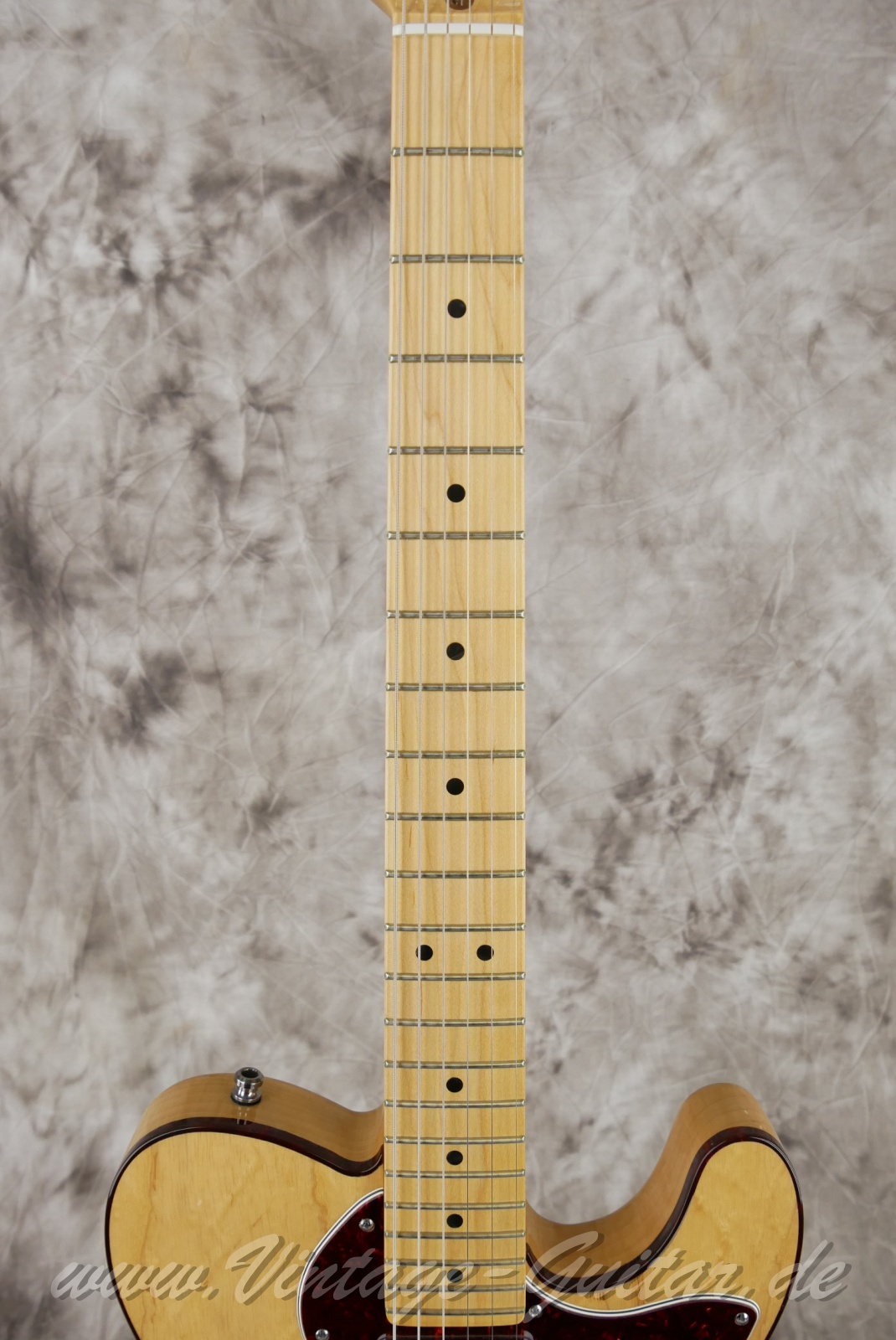 Fender_Thinline_American_Deluxe_Baujahr_2014_natural-005.jpg