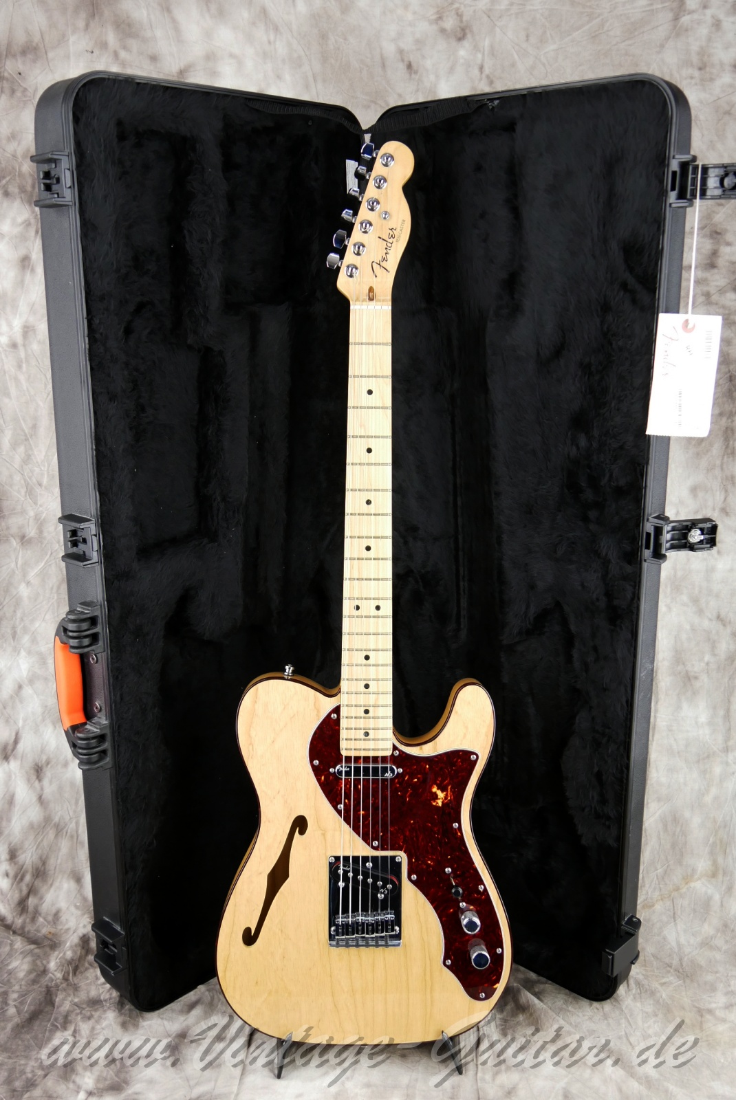 Fender_Thinline_American_Deluxe_Baujahr_2014_natural-013.jpg