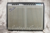 Musterbild Fender_Twin_Reverb_amp_silverface_1971-001.JPG