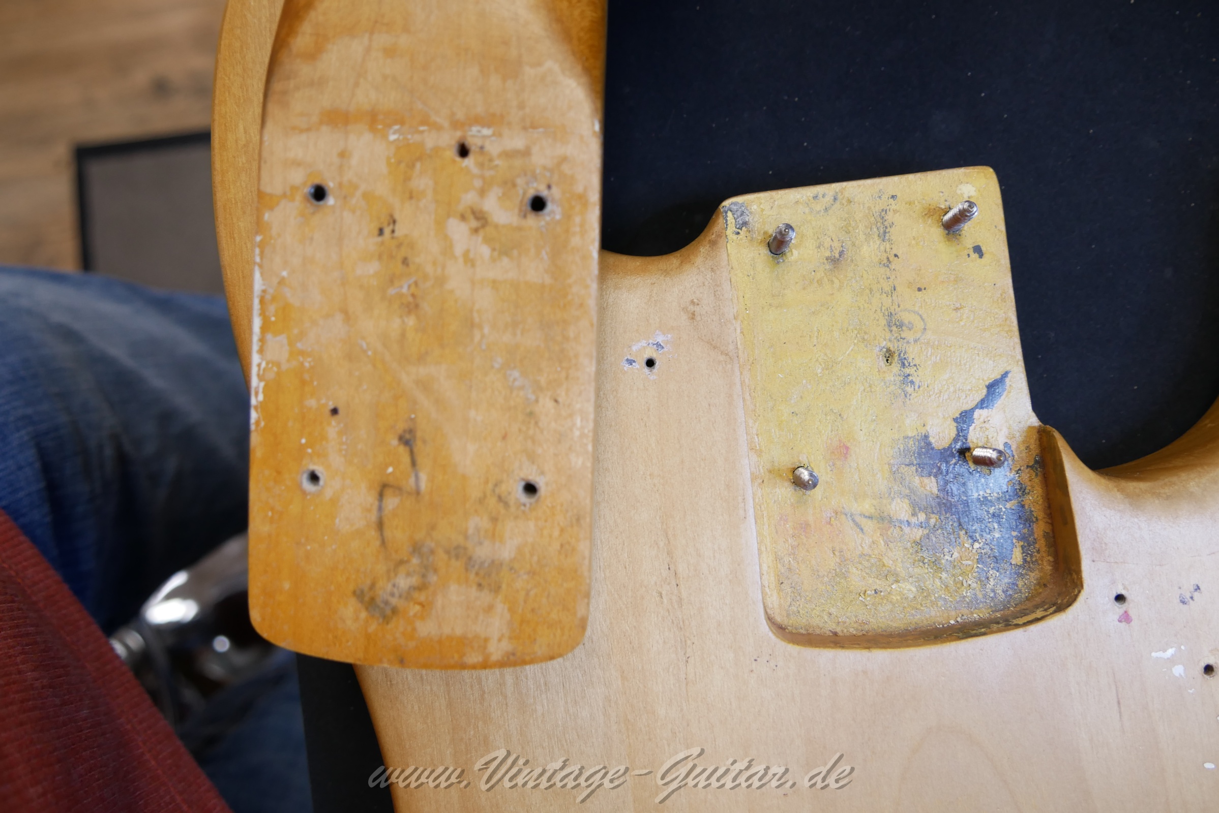 fender_precision_natural_stripped_baujahr_1966_usa-015.jpg